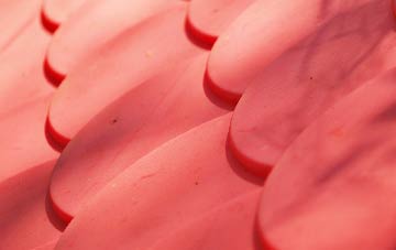 Cadshaw plastic roof costs